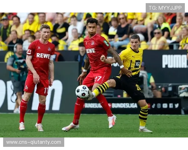 多特蒙德3-1科隆：主场攻势足球轻松取胜